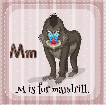 Illustration of a letter M is for mandrillのイラスト素材