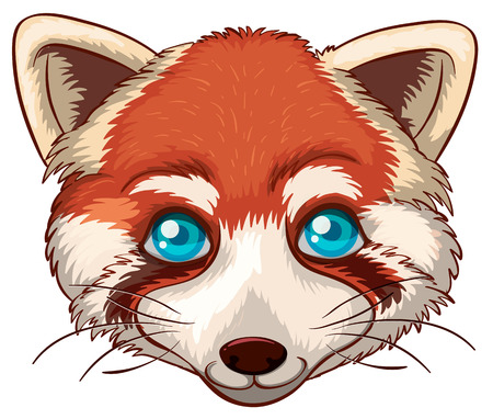 Illustration of a close up red panda headのイラスト素材