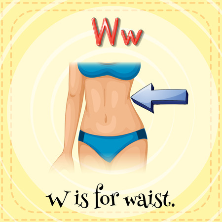 Illustration of a letter W is for waistのイラスト素材
