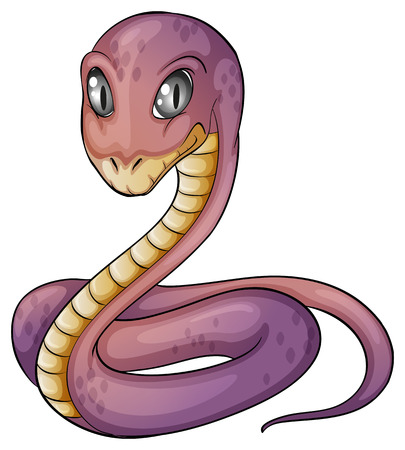 Illustration of a close up viperのイラスト素材