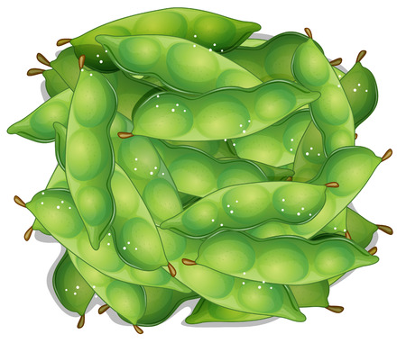 Illustration of a bunch of edamameのイラスト素材