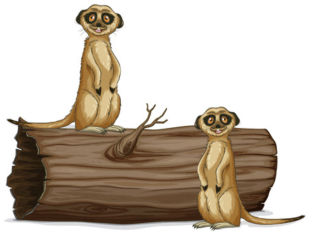 Illustration of two meerkats on the logのイラスト素材