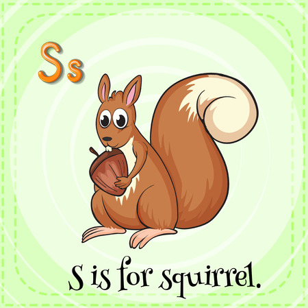 S is for squirrelのイラスト素材