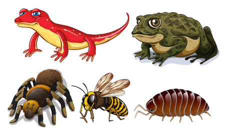 Five different types of small animalsのイラスト素材