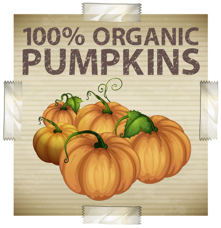 Advertisement for organic pumpkinsのイラスト素材