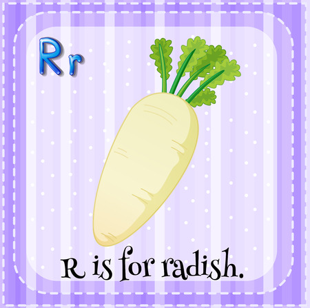 Letter R is for radishのイラスト素材
