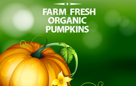 Farm fresh organic pumpkin with green backgroundのイラスト素材