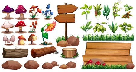 Mushrooms and different kinds of plantsのイラスト素材