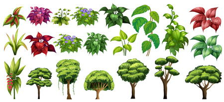 Different kind of trees and flowersのイラスト素材