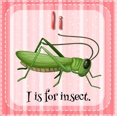Flashcard letter i is for insectのイラスト素材