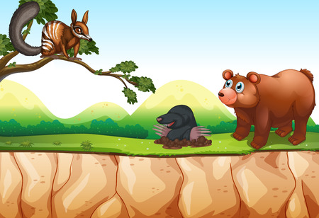 Different kind of animals on the cliffのイラスト素材