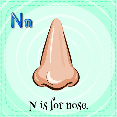Flashcard letter N is for noseのイラスト素材