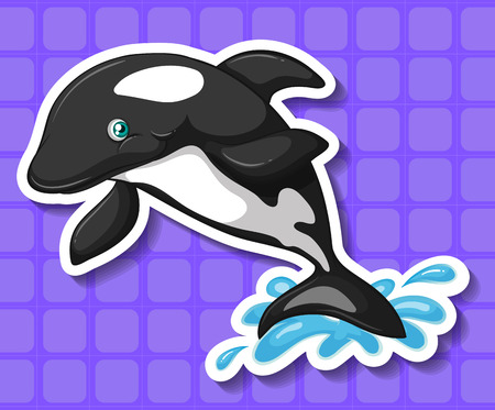 Closeup black and white whale splashing waterのイラスト素材