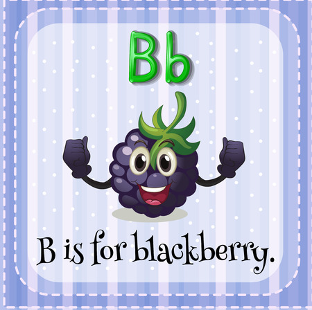 Flashcard letter B is for blackberryのイラスト素材