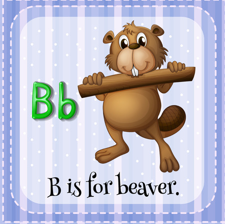 Flashcard letter B is for beaverのイラスト素材