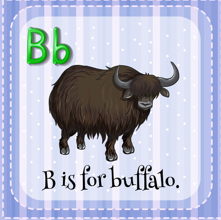 Flashcard letter B is for buffaloのイラスト素材