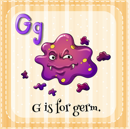 Flashcard letter G is for germのイラスト素材