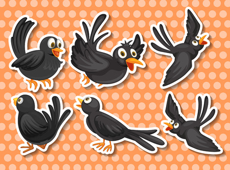 Little black bird in different positionのイラスト素材