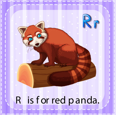Flashcard letter R is for red pandaのイラスト素材
