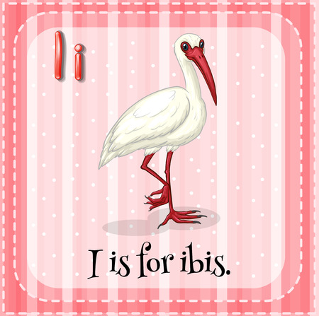 Flashcard letter I is for ibisのイラスト素材
