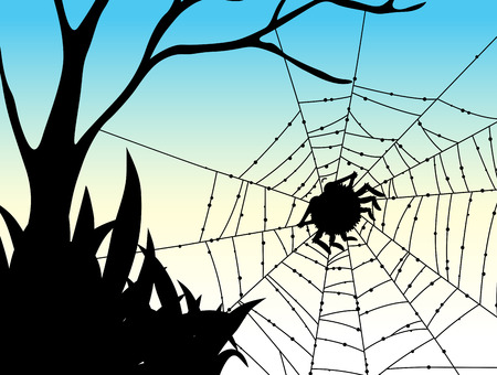 Silhouette spider on web illustrationのイラスト素材