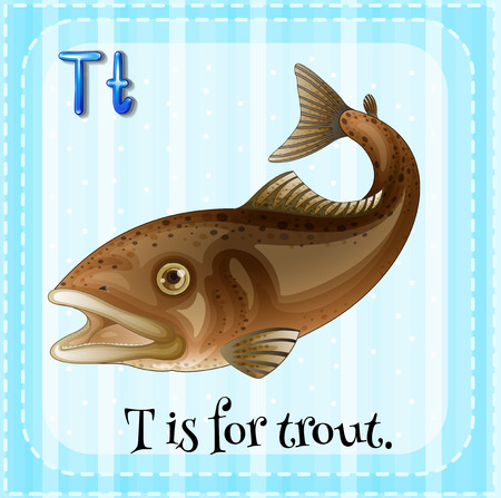 Flashcard of T is for trout	 illustrationのイラスト素材