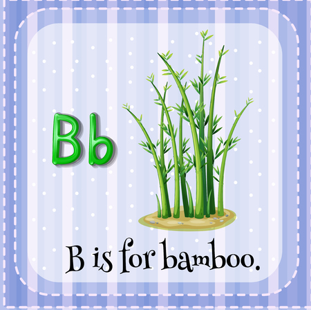 Flashcard letter B is for bamboo illustrationのイラスト素材