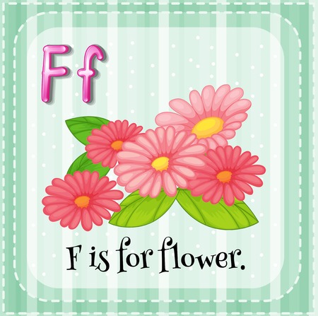 Alphabet F is for flower illustrationのイラスト素材