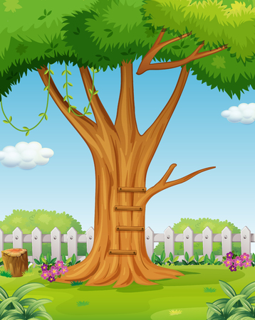 Tree in the garden illustrationのイラスト素材