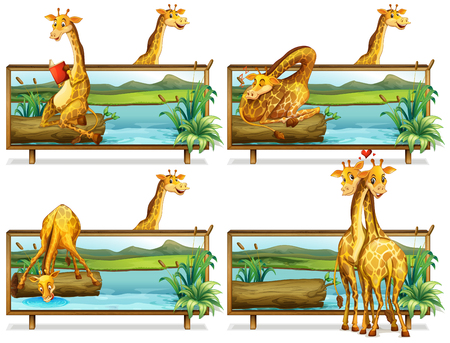 Giraffes in the wooden frames illustrationのイラスト素材