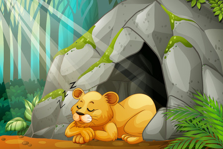Little cub sleeping in the cave illustrationのイラスト素材