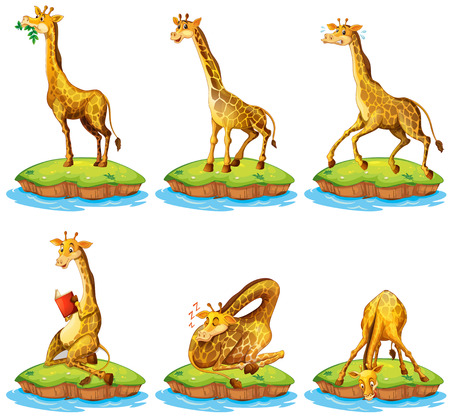 Giraffes in different actions on island illustrationのイラスト素材