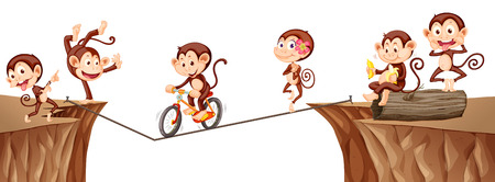 Monkeys playing on the rope illustrationのイラスト素材
