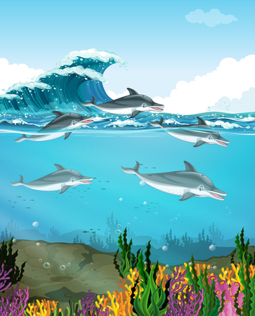 Dolphins swimming under the sea illustrationのイラスト素材