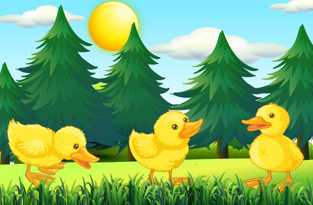 Three little ducklings in the park illustrationのイラスト素材
