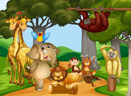 Wild animals living in the forest illustrationのイラスト素材