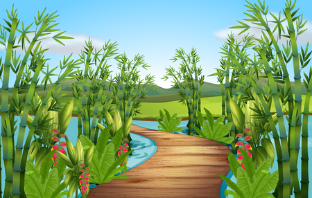 Nature scene with bamboos along the bridge illustrationのイラスト素材