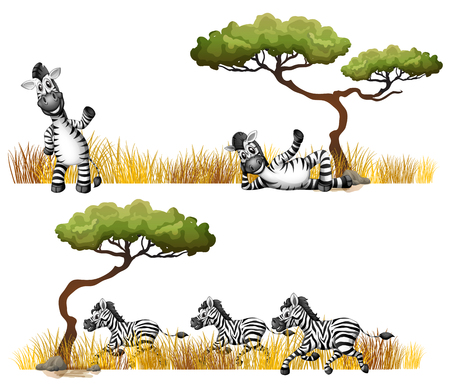 Zebras resting in the field illustrationのイラスト素材