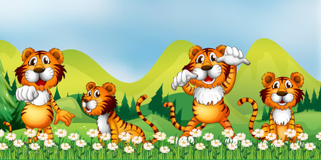 Four tigers in the flower field illustrationのイラスト素材