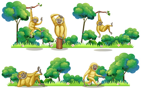 Gibbons living in the forest illustrationのイラスト素材
