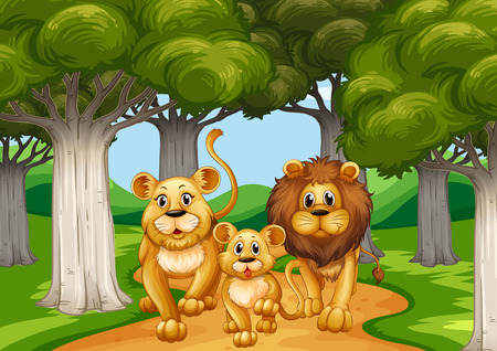 Three lions walking in the forest illustrationのイラスト素材