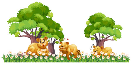 Three lions resting in the field illustrationのイラスト素材