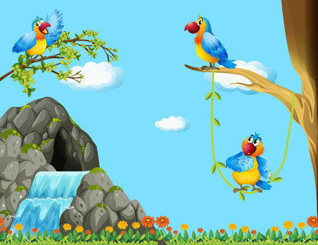 Three parrots living by the cave illustrationのイラスト素材