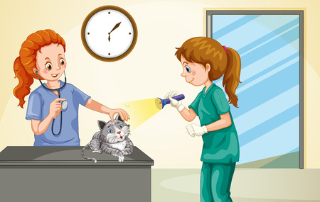 Vet examining little cat illustrationのイラスト素材