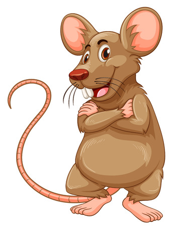 Mouse with brown fur illustrationのイラスト素材