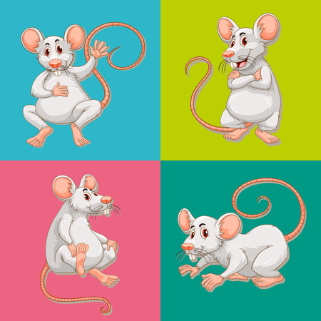 Mouse in four color backgrounds illustrationのイラスト素材