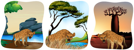 Hyenas in the field illustrationのイラスト素材