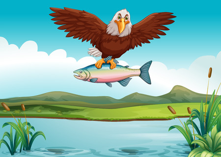 Eagle catching fish in the lake illustrationのイラスト素材