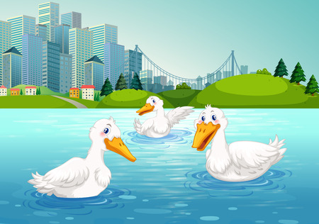 Three ducks swimming in the lake illustrationのイラスト素材