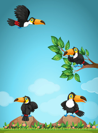 Four toucans flying in the garden illustrationのイラスト素材